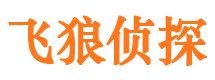 亭湖市侦探公司